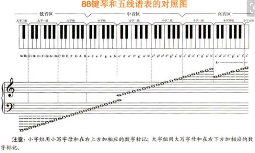 脚踝扭伤吃什么食物和水果-脚踝扭伤吃什么食物网—知名的脚踝扭伤吃啥食物恢复快网站,分享脚踝扭伤吃什么食物补得快知识